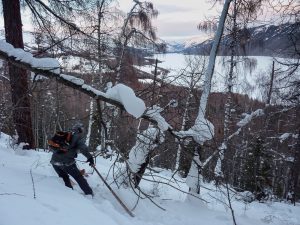 Looking for Elk - and a place to ski down.