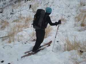 Hoks thru Moose tracks