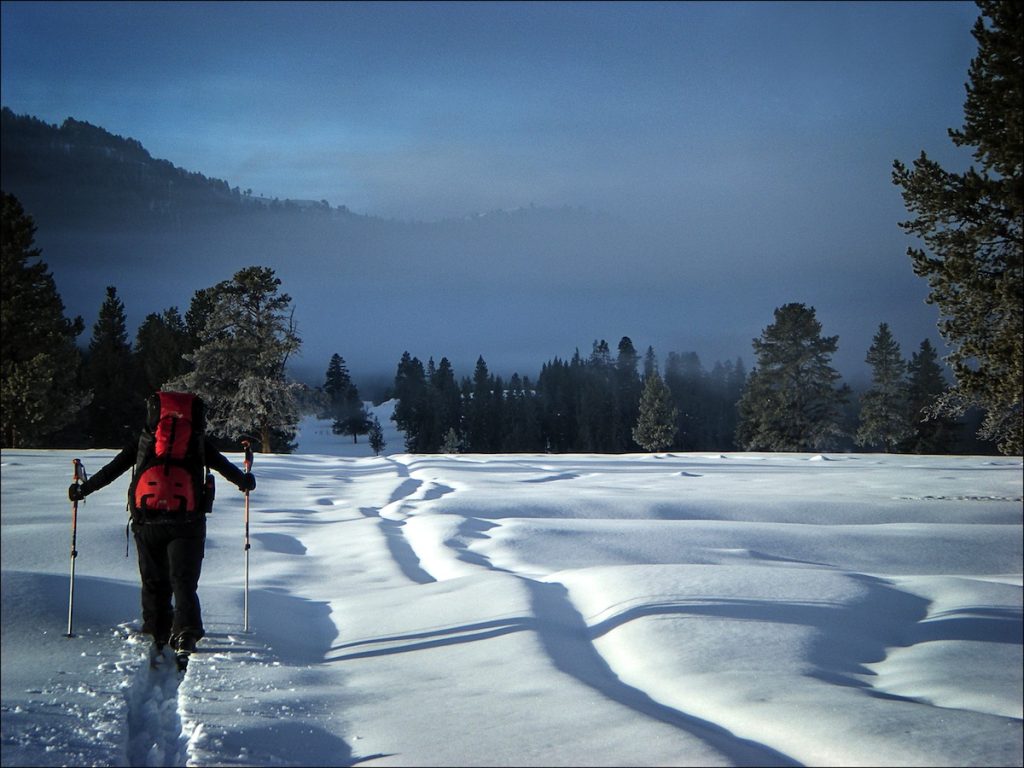 YNP Montana II