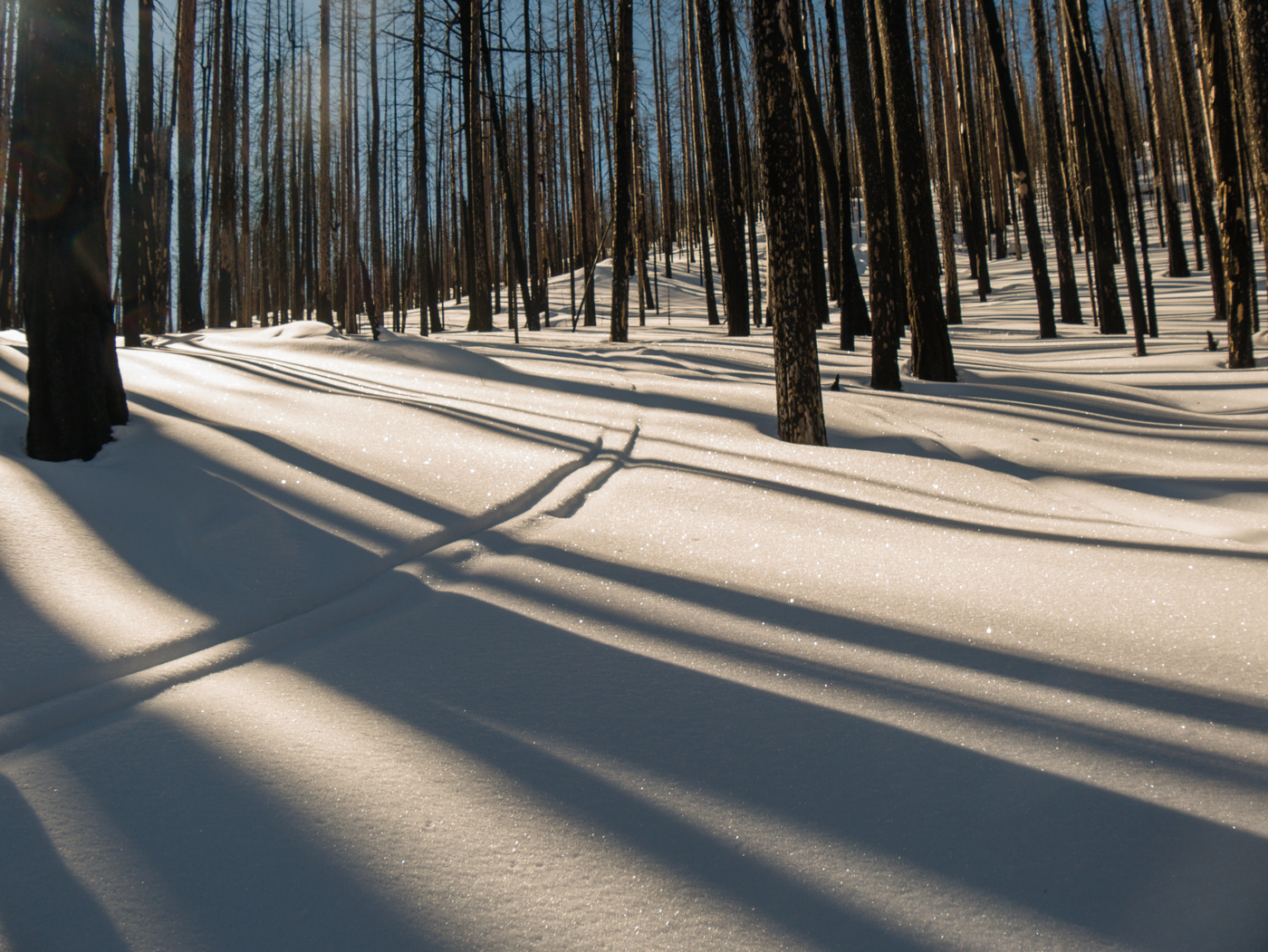 Wandering on Hoks – A World of Tracks Written on Snow.